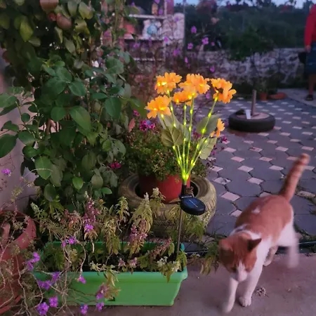 Aban Appartement Himarë